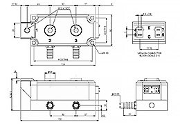 Schéma de circuit du module à Double diode