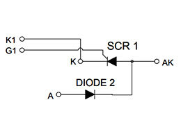 Schéma du Circuit des Modules Thyristor