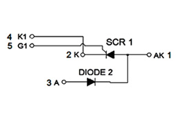 Schéma du Circuit des Modules Thyristor