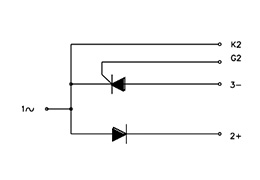 Schéma du Circuit des Modules Thyristor