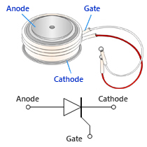 Thyristor polarity
